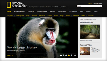 内部价格优势的网站攻击防护